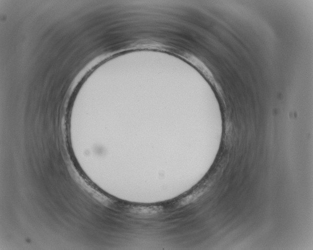 X0000082700947200702232227