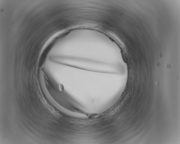 X0000082700948200702232227