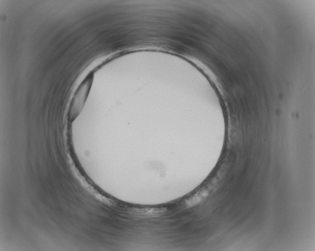 X0000082700949200702232227