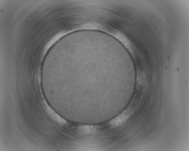 X0000082700950200702232227