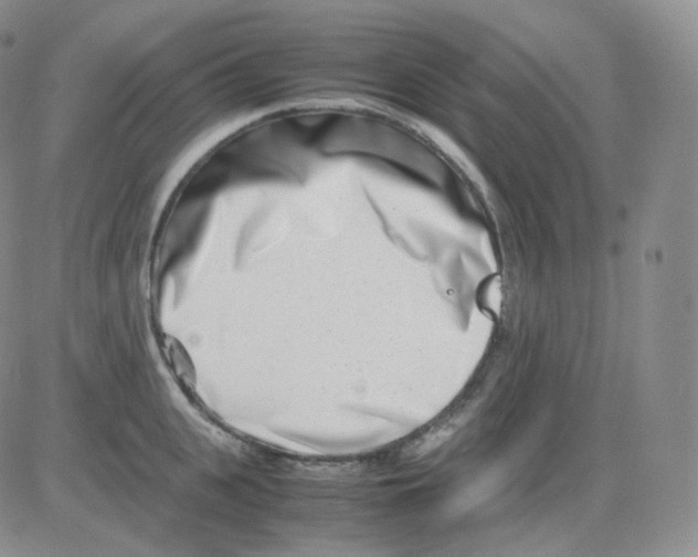 X0000082700951200702232227