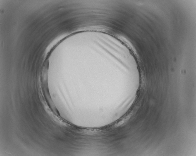 X0000082700952200702232227