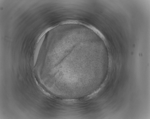 X0000082700953200702232227