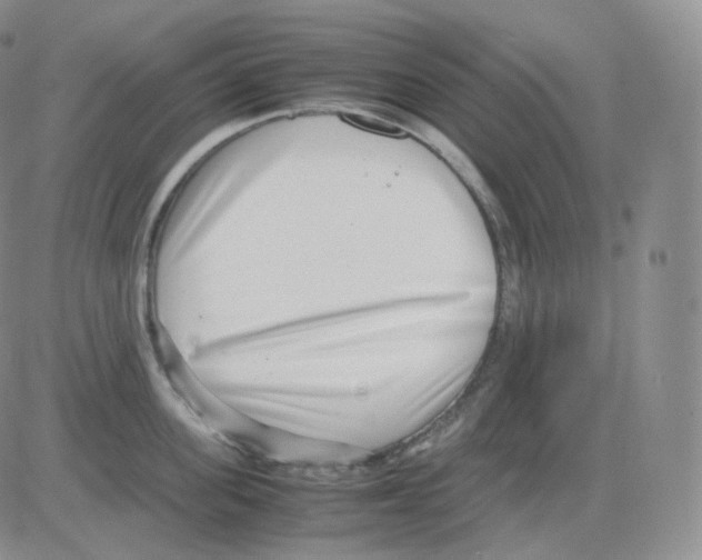 X0000082700955200702232227