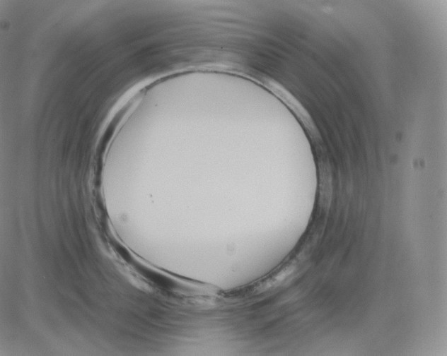 X0000082700956200702232227