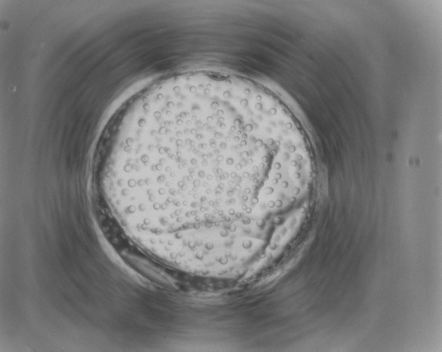 X0000082700957200702232227