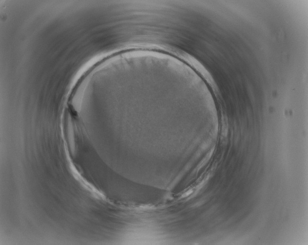 X0000082700958200702232227