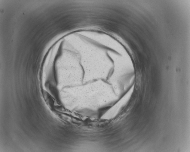 X0000082700959200702232227