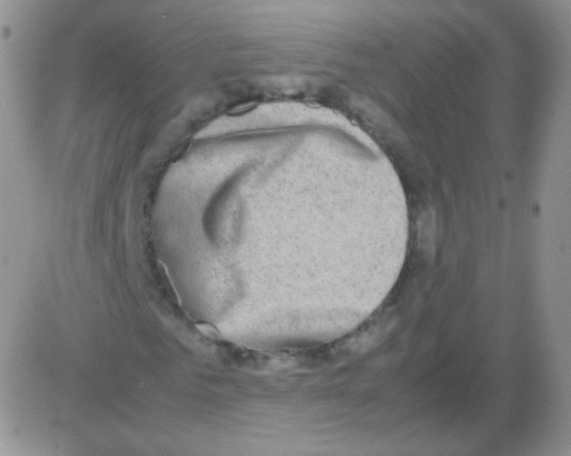 X0000082700961200702232226