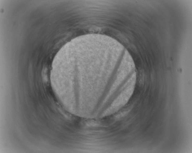 X0000082700962200702232226