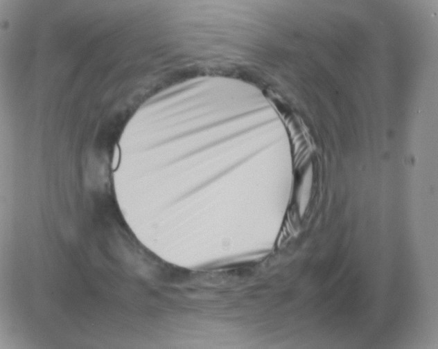 X0000082700963200702232226