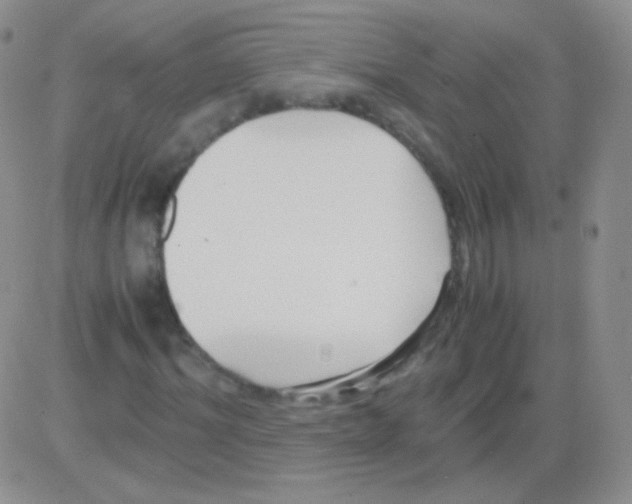 X0000082700964200702232226