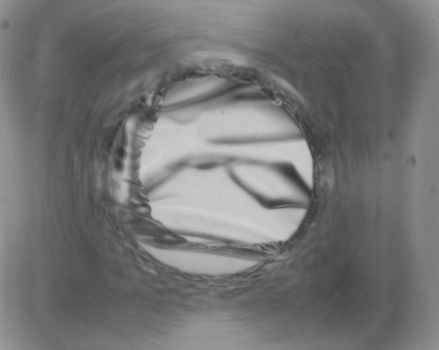 X0000082700965200702232226