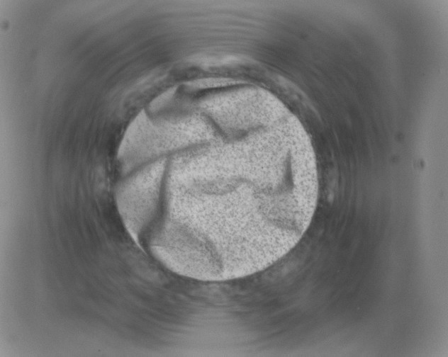 X0000082700966200702232226