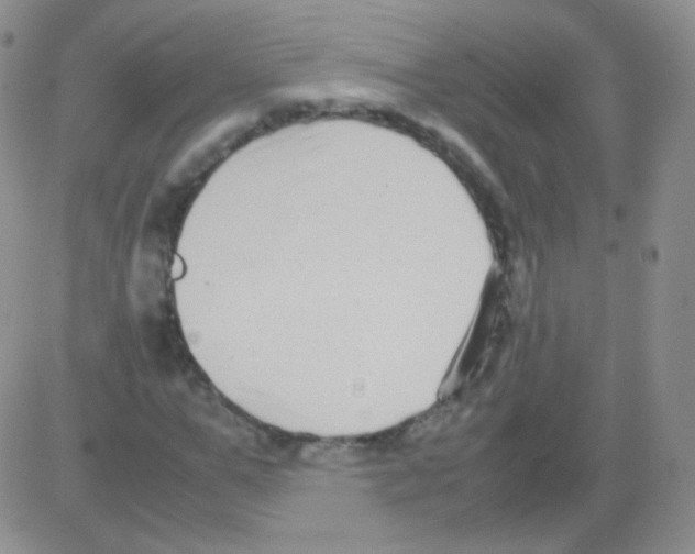 X0000082700967200702232226