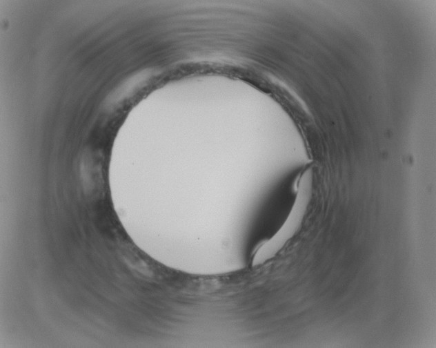 X0000082700968200702232226