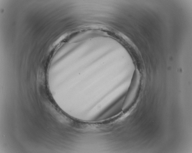 X0000082700969200702232226