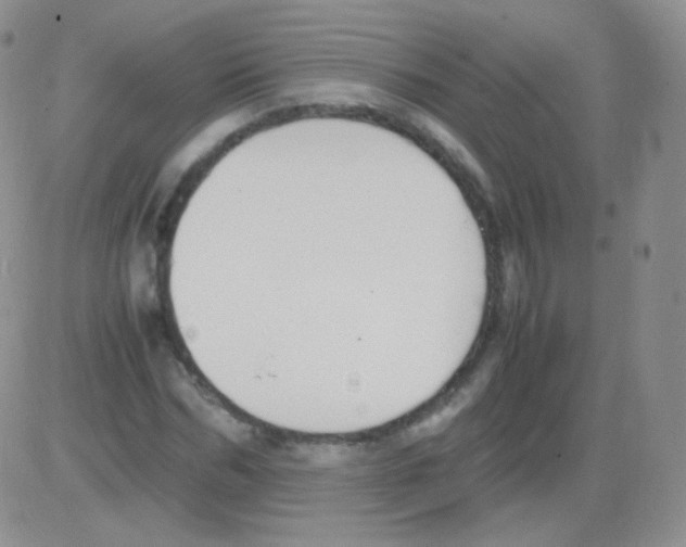 X0000082700970200702232226