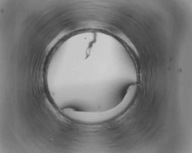 X0000082700972200702232226