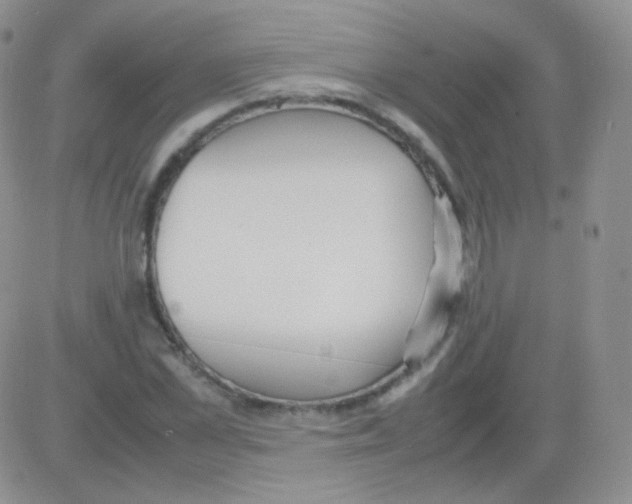 X0000082700973200702232226