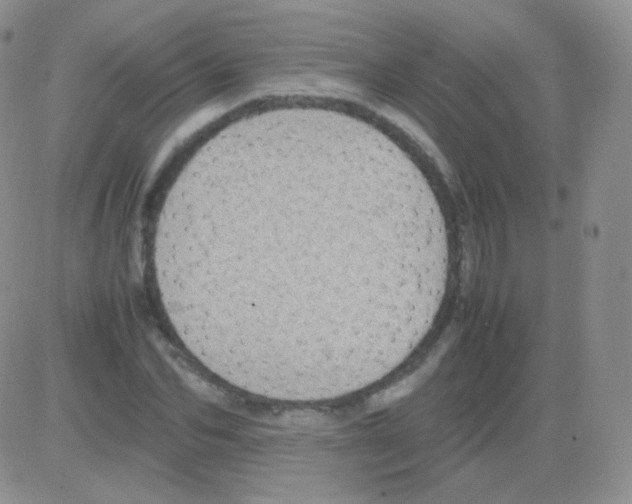 X0000082700974200702232226