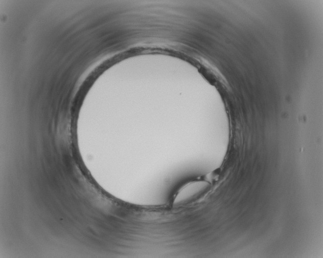 X0000082700976200702232226