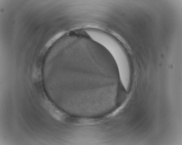 X0000082700977200702232226