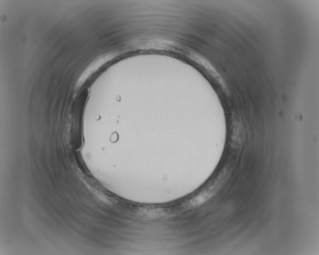 X0000082700978200702232226