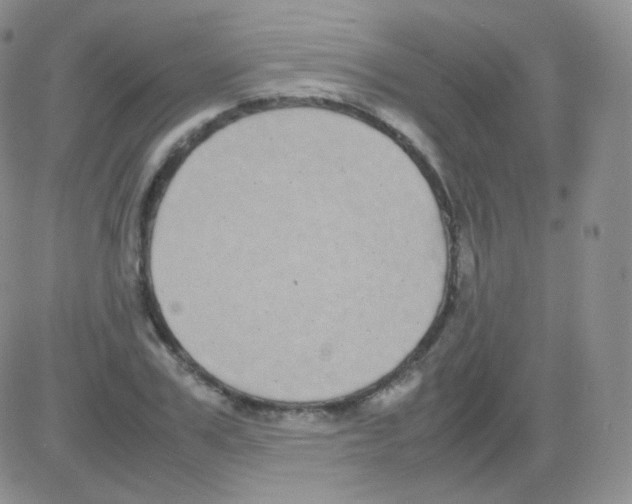 X0000082700979200702232226