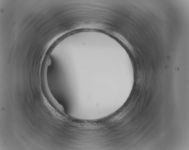 X0000082700980200702232226