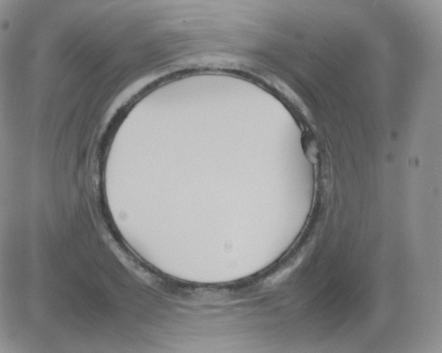 X0000082700981200702232226