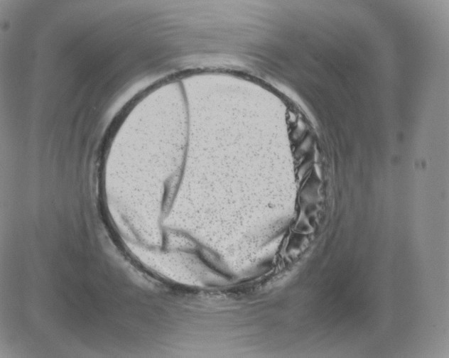 X0000082700983200702232226