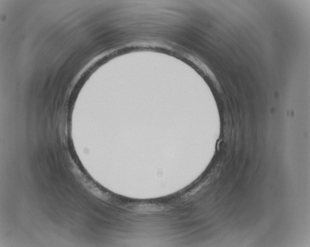 X0000082700984200702232226