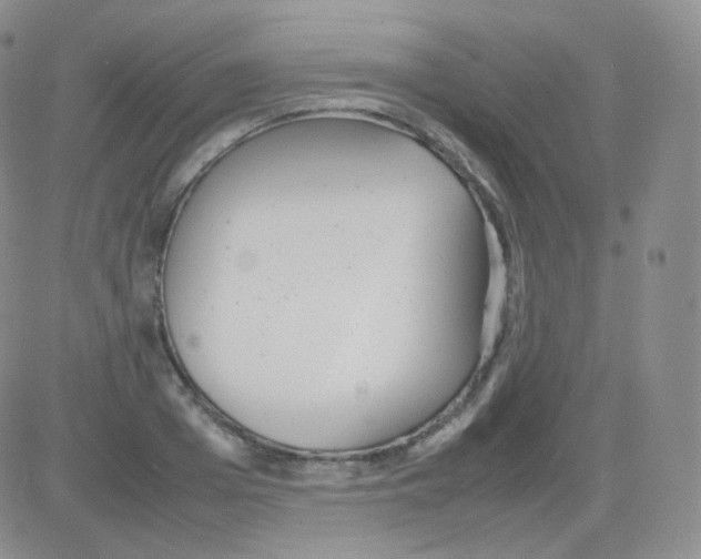 X0000082700985200702232226