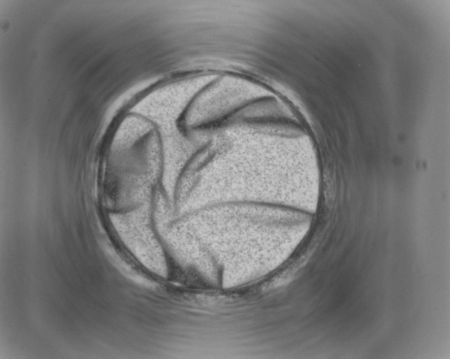 X0000082700987200702232226