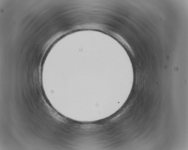 X0000082700988200702232226