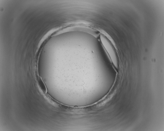 X0000082700989200702232226