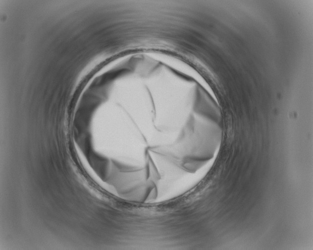 X0000082700990200702232226