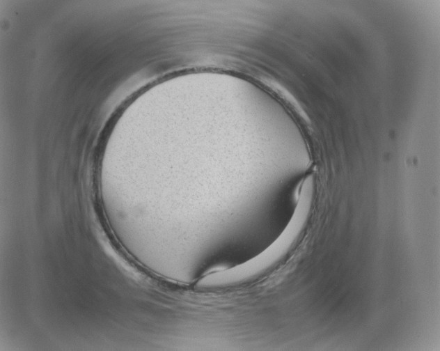 X0000082700991200702232225