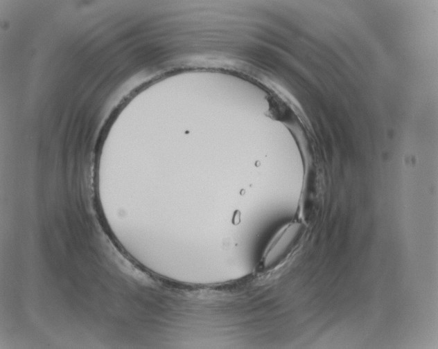 X0000082700992200702232225