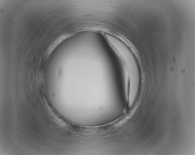 X0000082700993200702232225