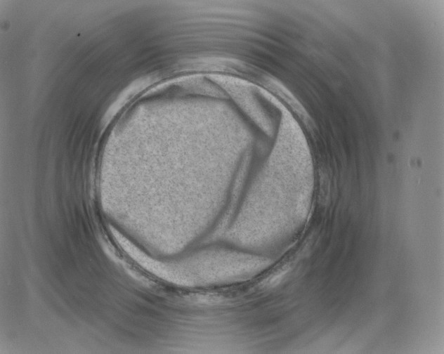 X0000082700994200702232225