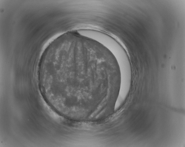 X0000082700995200702232225