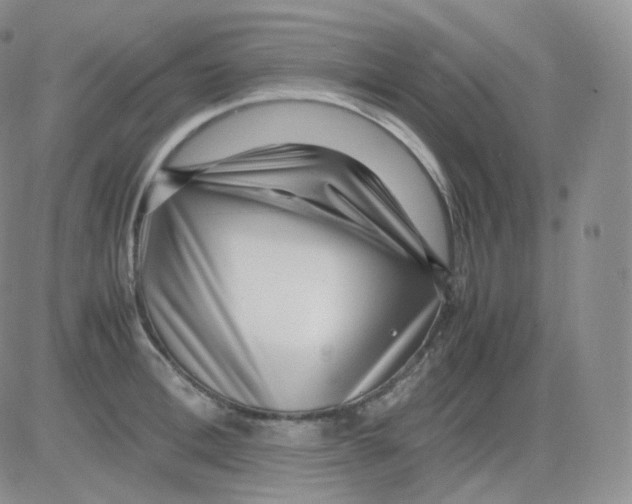 X0000082700996200702232225