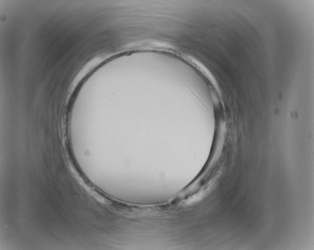 X0000082700997200702232225