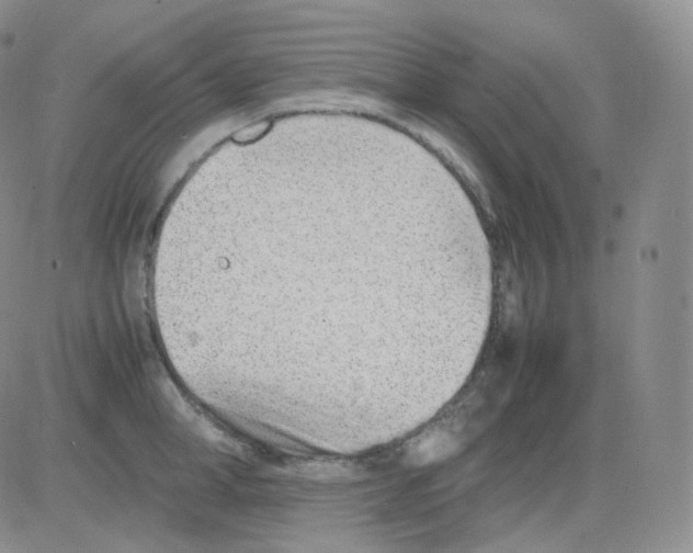 X0000082700998200702232225