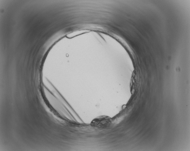 X0000082700999200702232225