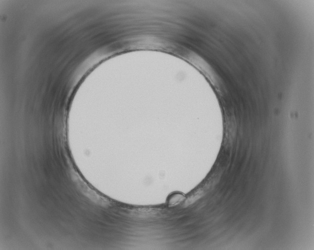 X0000082701000200702232225