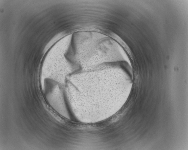 X0000082701002200702232225