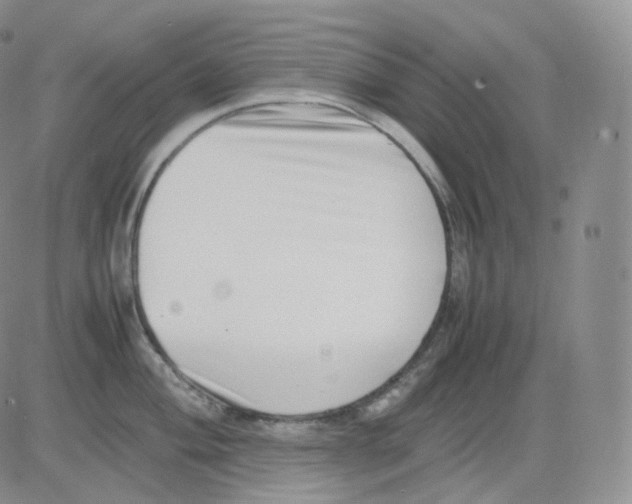 X0000082701004200702232225